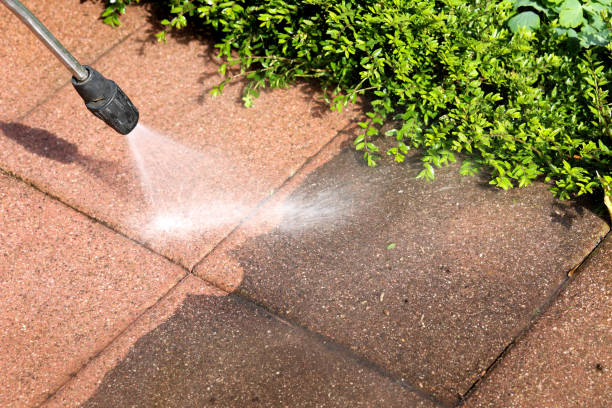 Best Pressure Washing Company Near Me  in Rainbow Springs, FL